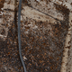 The back of a fridge, rich in water and food, is a common hot spot for roaches, though few infestations reach this point.